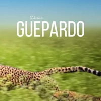 Guepardo - Single - Divino