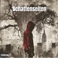 Schattenseiten - RzumD
