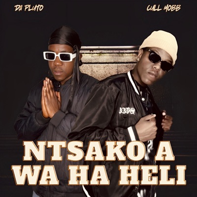 Ntsako a wa ha heli (feat. DaPluto SA) - Single