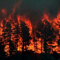 Кислород - Single - Cold Carti