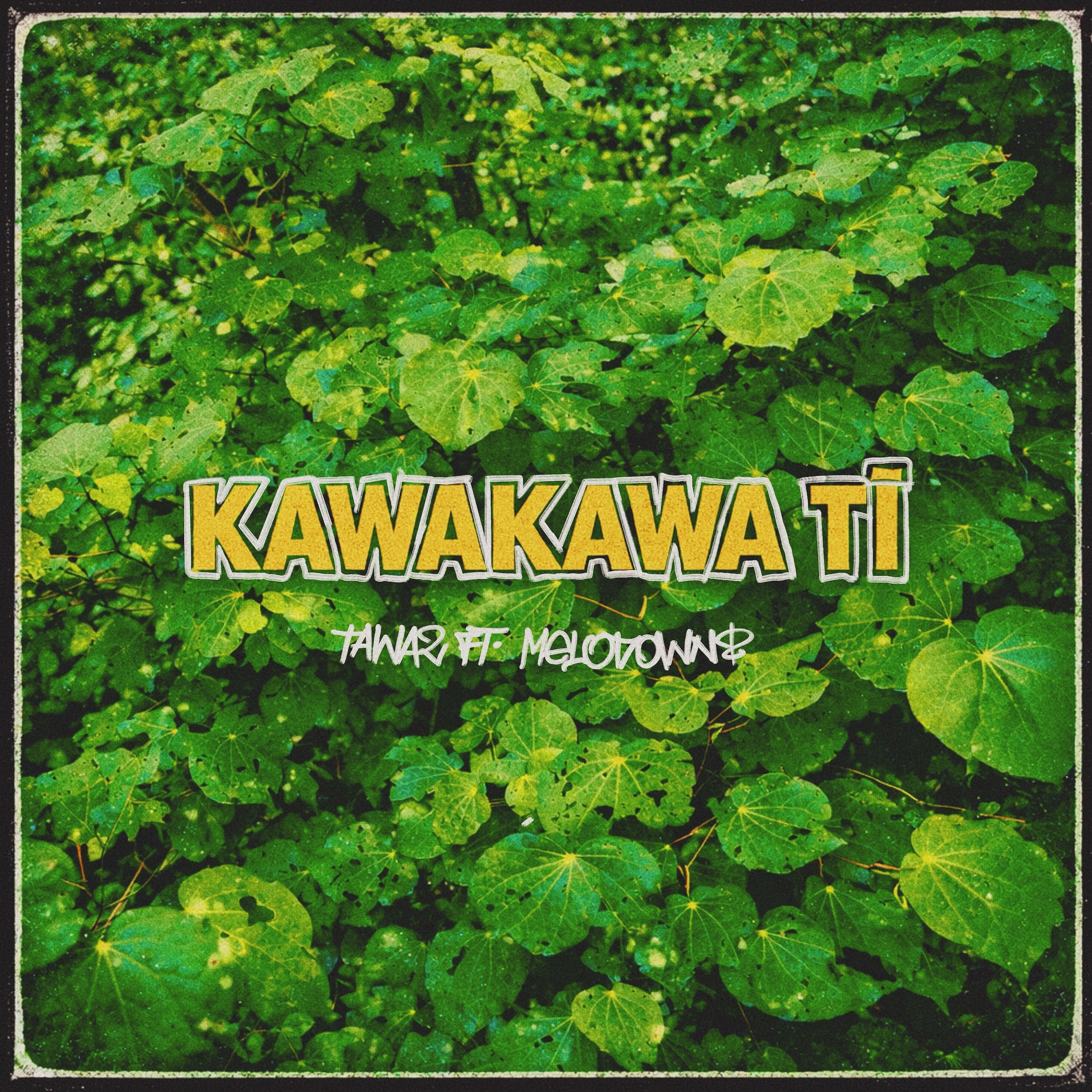 Kawakawa Tī - Single
