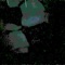 track_5 - monstrface lyrics