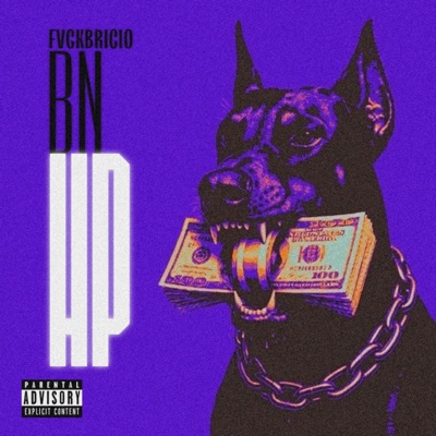 BN HP - Single
