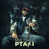 Miejskie Ptaki artwork