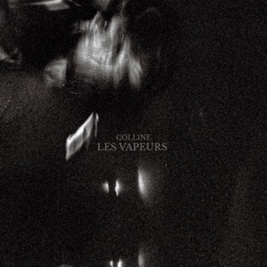 Les Vapeurs - Single