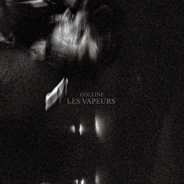 Les Vapeurs - Single