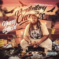 Penetentary Chances - Yung Critical