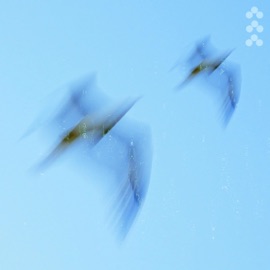 You got me Sam Atlast & Lowbrain