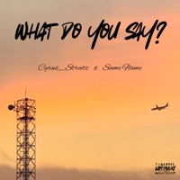 What Do You Say? (feat. Same Flame) - Single - Cyrus_Streetz