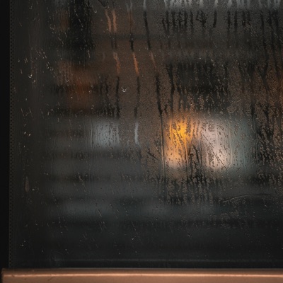 blätter im herbst. - Single