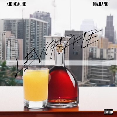 Levitate (feat. Majiano) - Single