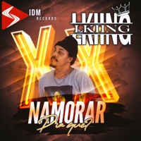 Namorar pra Que - Single - L.KIING & dj Alle Mark