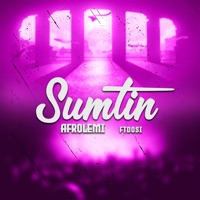 Sumtin - Single - Afrolemi & FTDosi