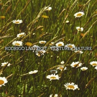 Texture | Nature - Single - Rodrigo Laffertt