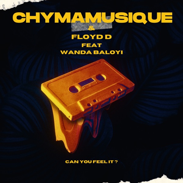 Can You Feel It? (feat. Wanda Baloyi) - Single