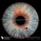 BLESSINGS - Sam Alfred & WOLTERS lyrics