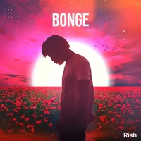 Bonge - Single - Rish