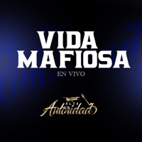 Vida Mafiosa (Con Accordeon) [En vivo] - Single - Alta Autoridad