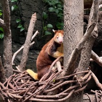 Hufflepuff - Single - Statma