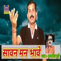 Sawan Man Bhave - Single - Pushyamitra Dubey