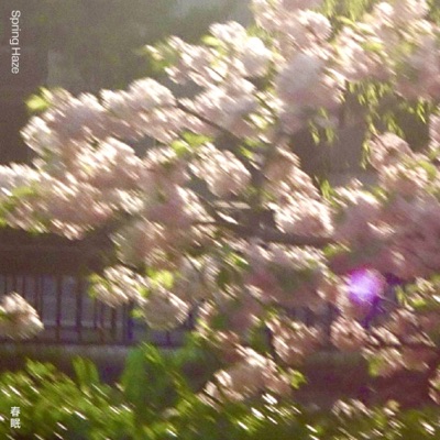 Spring Haze - Single