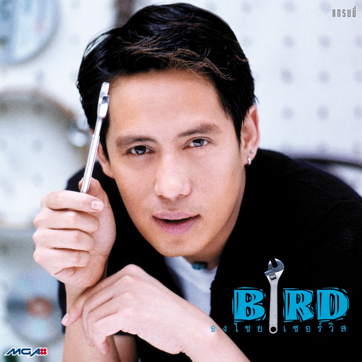 ‎ธงไชย เซอร์วิส – Album von เบิร์ด ธงไชย – Apple Music