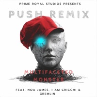 Push (feat. Noa James, I AM Cricchi & Gremlin) [Remix] - Single - Multifaceted Monster