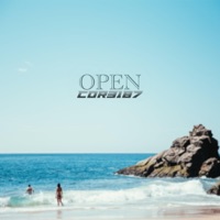 Open - Single - Core187