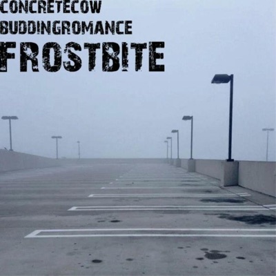 frostbite (feat. buddingromance) - Single