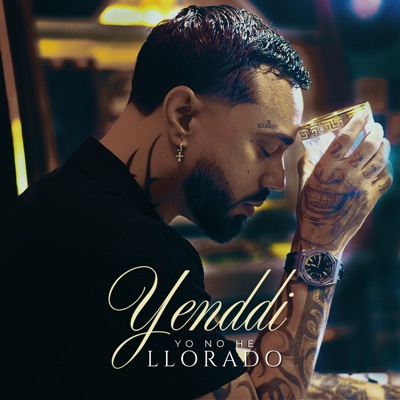 Yo No He Llorado - Single