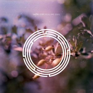 Healing Soul - Single