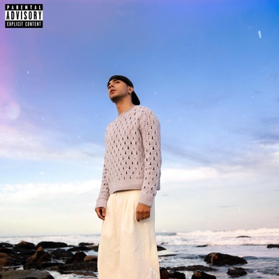 Amor Anormal (feat. Flores) - Single