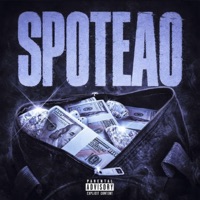 Spoteao (feat. MattiasQR) - Single - Daxxo