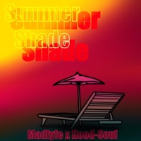 Summer Shade (feat. Hood-Soul) - Single - Madlyfe