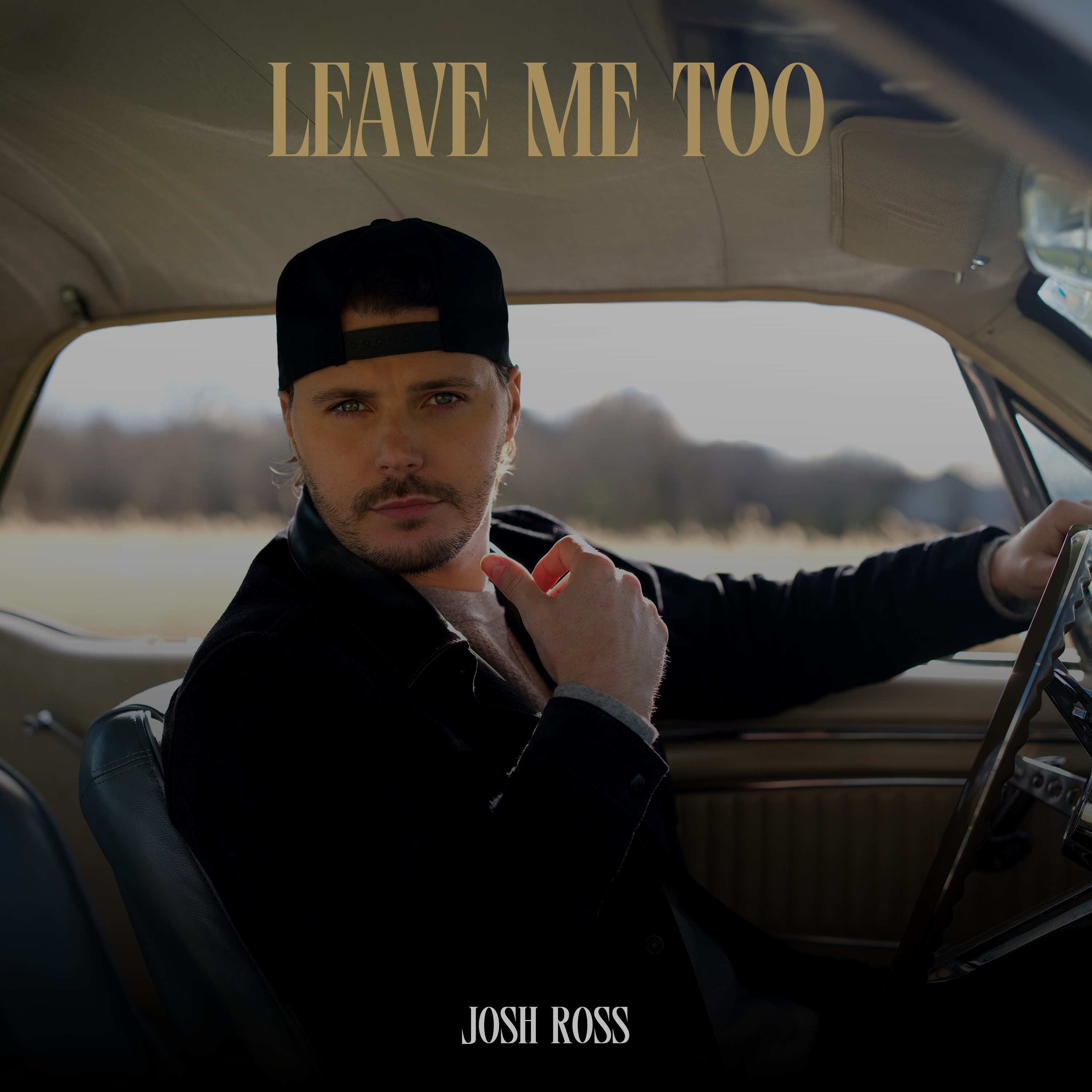JOSH ROSS - LEAVE ME TOO