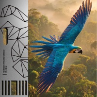 My Mind - Single - Neveseet, Titov & BONDDISCO