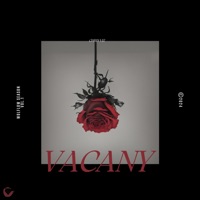 Vacany - Single - Chris Viz