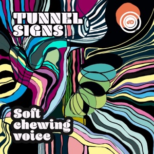 Soft Chewing Voice - Single