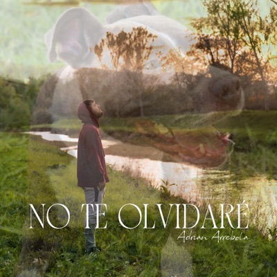 No te olvidaré - Single