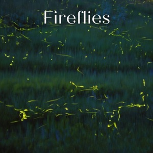 Fireflies - EP