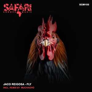 Fly - Single
