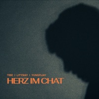 Herz im Chat - Single - TIBE, lityway & yungfijay