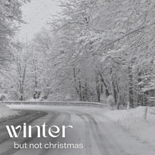 Evening Elephants - Snow on The Bluff