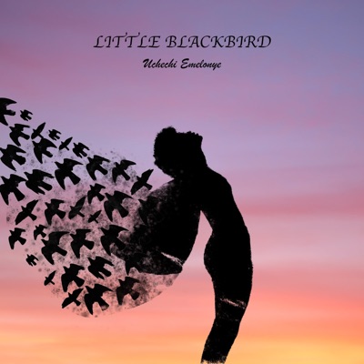 Little Blackbird - Single
