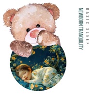 Newborn Tranquility: White Noise Rain for Baby's Sleep - Basic Sleep, Baby Sweet Dream & Baby Nap Time