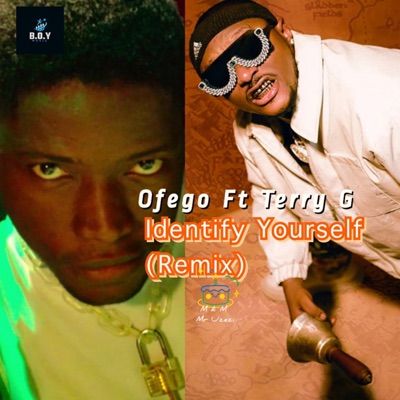 Identify Yourself (feat. Terry G) [Remix] - Single