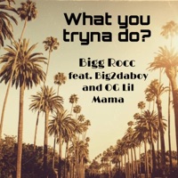 What you tryna do? (feat. Big2daboy & OG Lil Mama) - Single - Bigg Rocc