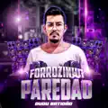 Forrozinho Dust In The Wind