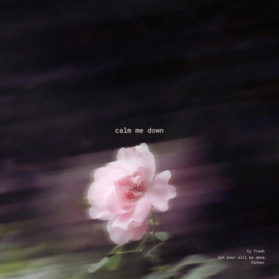 calm me down - Single