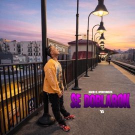 SE DOBLARON DAVID EL OPORTUNISTA